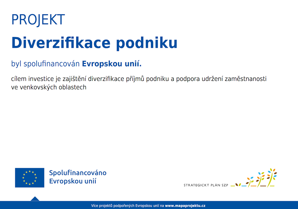 EU diverzifikace podniku 2025